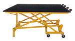 Stowaway Tilt Table STT1